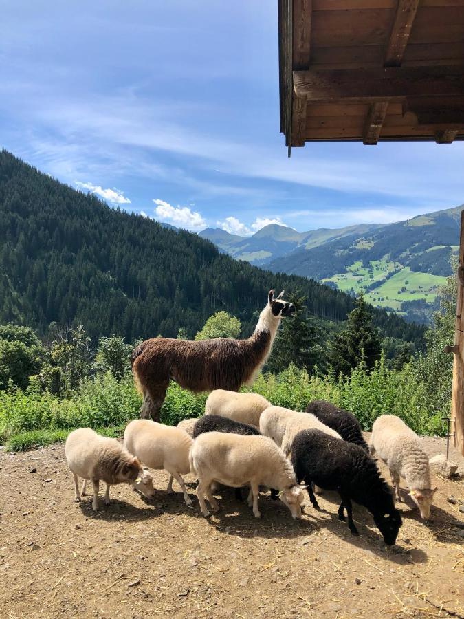 Haizelrock Kirchberg in Tirol Exterior foto