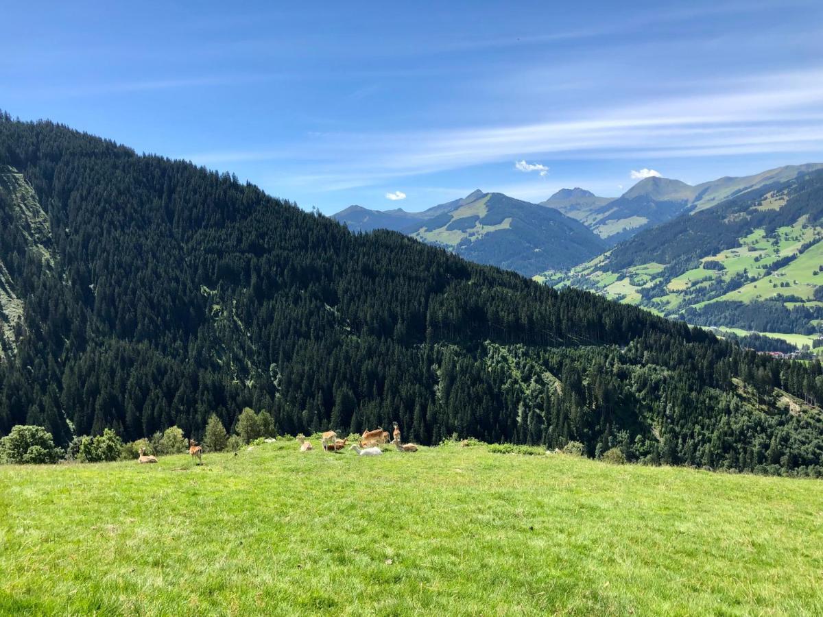 Haizelrock Kirchberg in Tirol Exterior foto
